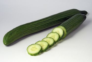 English or hothouse cucumber