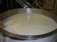 Koji is mixed with steamed rice, yeast and water and allowed to sit for 7 to 14 days to generate yeast cells needed for fermentation