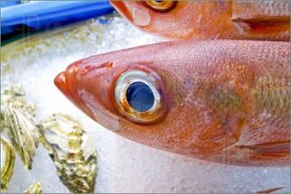 Look for fish eyes that are clear and bright and bulging