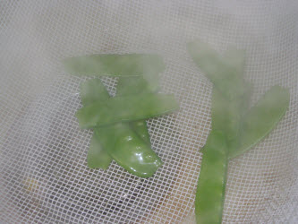 Drain snow peas