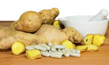 Ginger root and medicines made from ginger