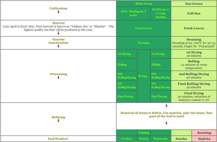 Tea Types Chart