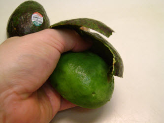 Peeling skin off of avocado