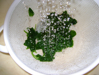 Shocking boiled spinach to stop cooking process with cold water