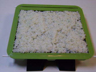 Evenly spread sushi rice over nori to level even with training frame...