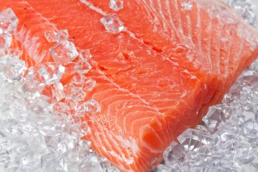 Salmon fillet on ice