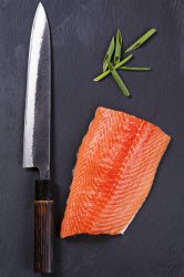 Yanagiba and salmon